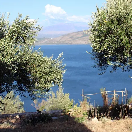 Lakeview Nardi *