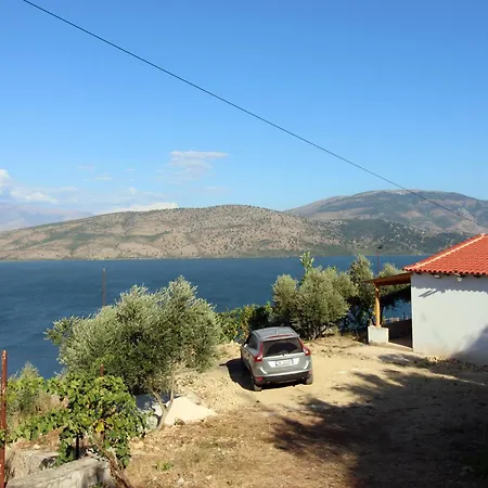 Lakeview Nardi *