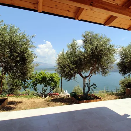 Lakeview Nardi *