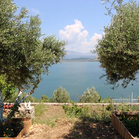 Lakeview Nardi